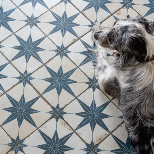 blue star pattern tiles Sydney